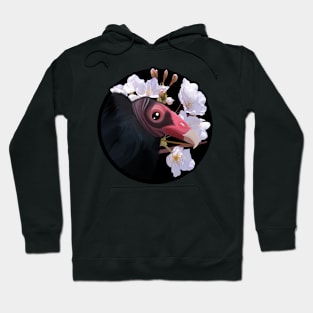 Turkey Vulture & Apple Blossoms Hoodie